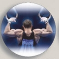 Male Gymnastics Photo Mylar Insert (2")